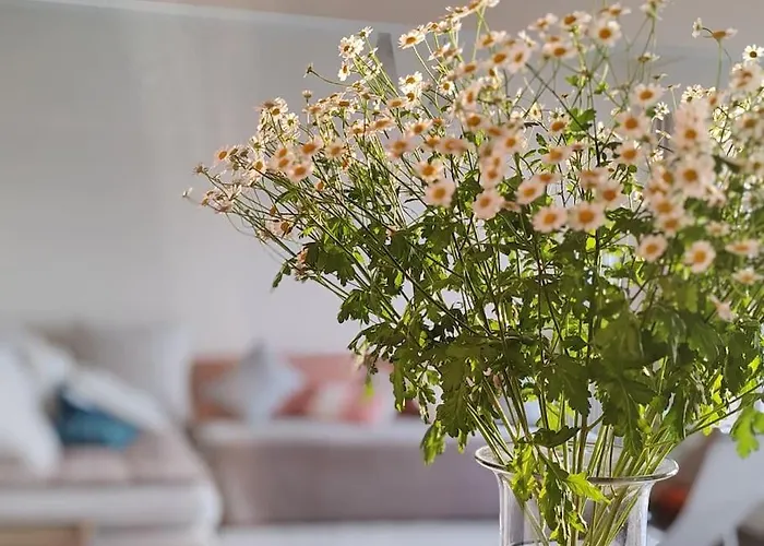 Apartman 20 Eme Rue Des Vignoles Au 6 Eme Ciel Párizs