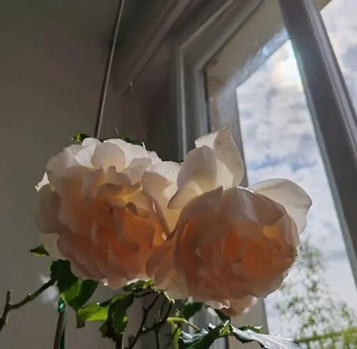 Apartman 20 Eme Rue Des Vignoles Au 6 Eme Ciel